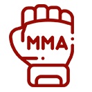 MMA e boxe